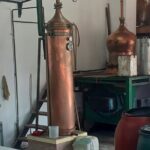 Small Group: Knossos, Olive Oil, Winery & raki with Lunch - A Sip of Crete: Winery & Raki Distillery