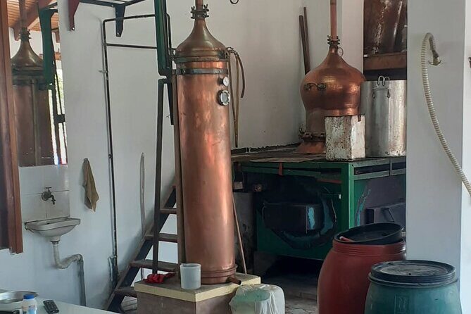 Small Group: Knossos, Olive Oil, Winery & raki with Lunch - A Sip of Crete: Winery & Raki Distillery