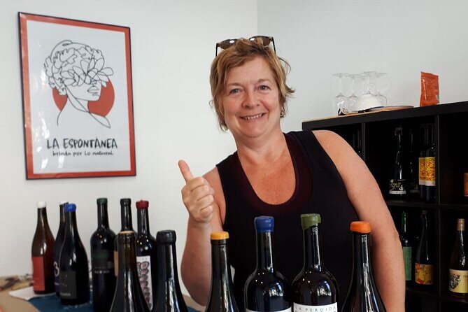 Small-Group Natural and Organic Wine Tasting near Sitges - Why This Tour Is a Must-Do