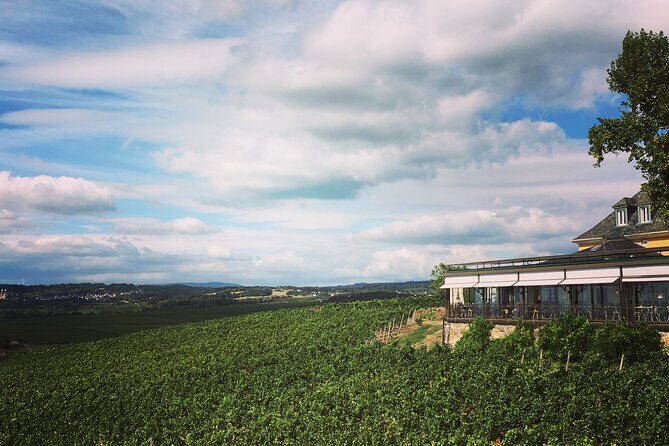 Small Group Rheingau Vineyards Tour with Castles and Abbeys - What Makes This Tour Stand Out?