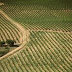 Small-Group Rioja Uncorked Tour from San Sebastian - Who Should Book This Tour?