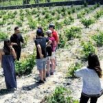 Small Group Santorini Winery Tour - FAQs