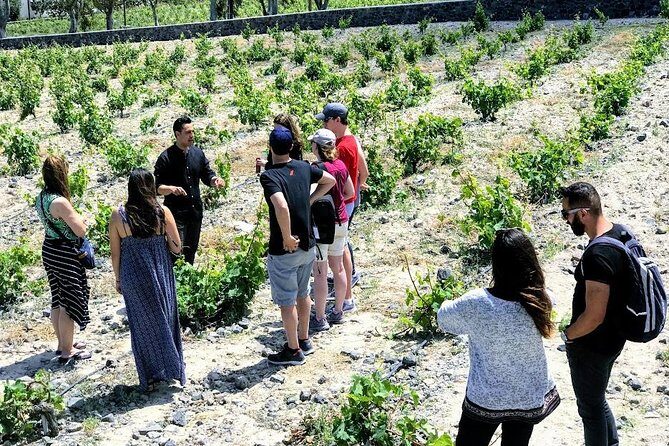 Small Group Santorini Winery Tour - FAQs