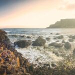 (Small Group) Shore Tour from Belfast: Giant's Causeway and Belfast Day Trip - Authentic Insights from Travelers