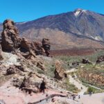 Small Group Teide National Park Volcanic and Forest Wonders - Who Will Love This Tour?