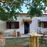 Small Group Tour of Ancient Olympia and Local Food Tasting - Honey, History, and Beekeeping at Klio’s Honey Farm