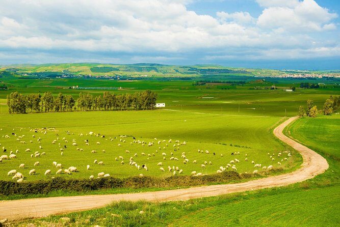 Small Group Tour - Tempio Pausania, Luras, The Gallura County- SARDINIA - ITALY - Exploring Sardinia’s Hidden Corners: A Detailed Breakdown