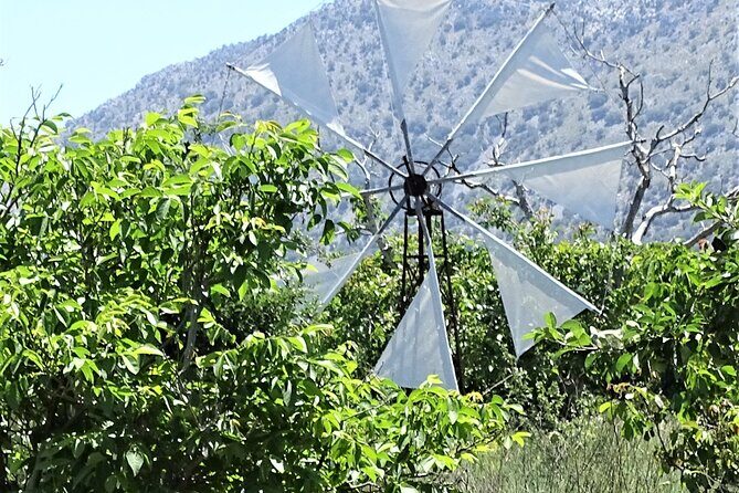 Small Group Tour to Knossos Palace Lasithi Plateau & Olive Mill - A Deep Dive into the Experience