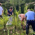 Small Group Tour with Prosecco Wine Tasting from Venice - Practical Details and Considerations