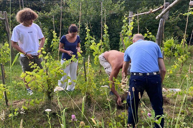Small Group Tour with Prosecco Wine Tasting from Venice - Practical Details and Considerations
