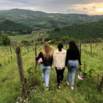 Small Group Wine Tasting in Tuscany with Vineyard Visit - Why This Tour Stands Out