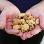 Smuggling Route - Walking Marvão Adventure - Who Will Love This Tour?