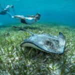 Snorkel Rental 24h, discover Tenerifes Ocean on your own! - How the Experience Unfolds