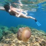 SNORKELING ADVENTURE | Pula Boat - Value and Practicalities