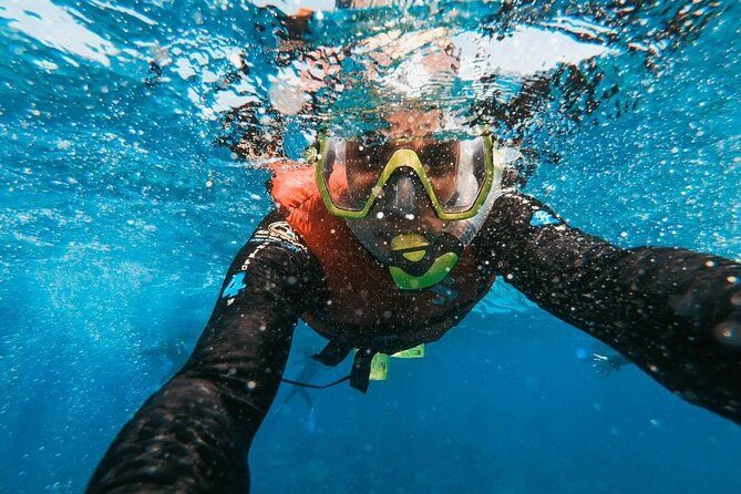 Snorkeling in Gran Canaria with Hotel Pick-up - Authentic Insights from Travelers