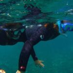 Snorkeling Tour with Sea Turtles and Stingrays - The Sum Up: Who Will Love This Tour?