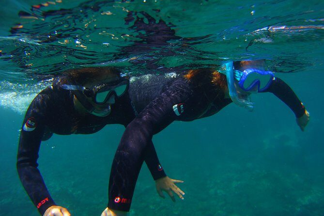 Snorkeling Tour with Sea Turtles and Stingrays - The Sum Up: Who Will Love This Tour?