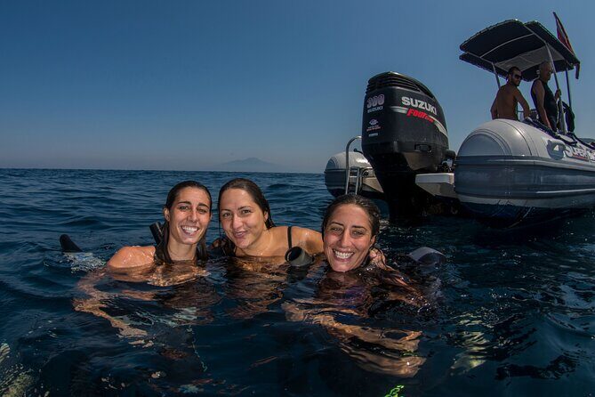 Snorkeling with Marine Biologist Expert from Sorrento - The Value for Money