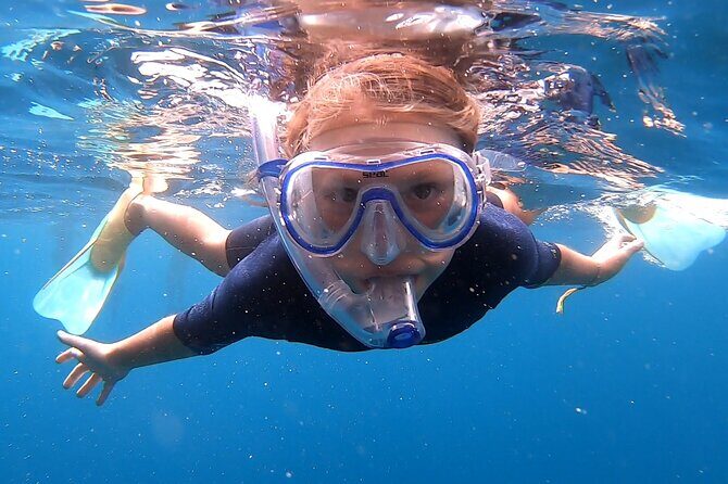 Snorkelling Experience - Why This Snorkelling Tour Offers Great Value
