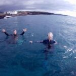 Snorkelling safari in a turtle area - The Marine Environment and Wildlife Encounters