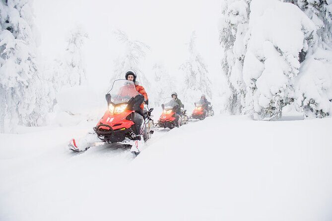 Snowmobile Adventure in Lapland - The Sum Up