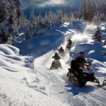 Snowmobile & Animals Day Tour - A Deep Dive into the Itinerary