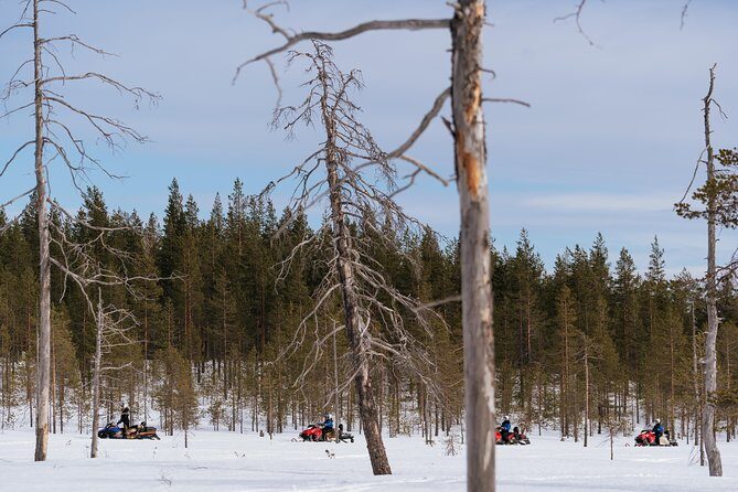 Snowmobile Safari into the Wilderness, Apukka Resort Rovaniemi - Authentic Insights and Traveler Perspectives