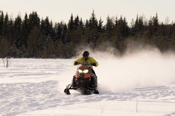 Snowmobile Tours in Rovaniemi Lapland - Who Is This Tour Perfect For?
