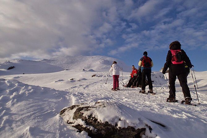 Snowshoe Hill Hike in Tromsø - Authentic Insights from Past Participants