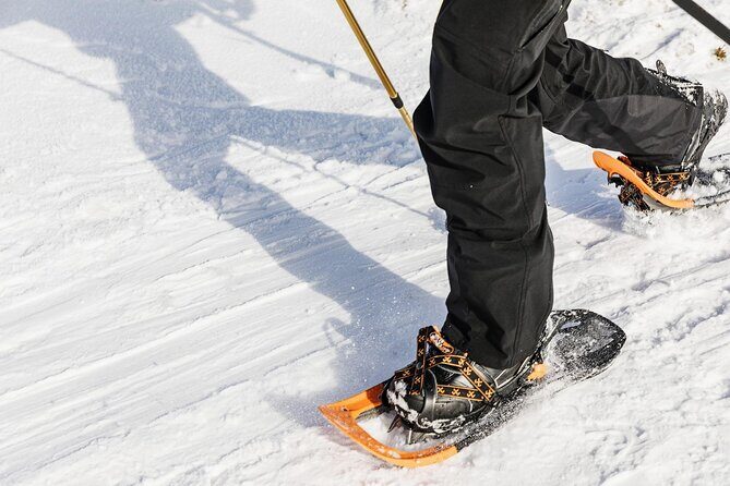 Snowshoe tour in Winter Wonderland - Oslo - Who Will Love This Tour?