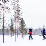 Snowshoe Trip in the Forest - The Guide and Group Size