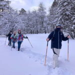 Snowshoeing in Bakuriani, Caucasus Mountains - Guides, Equipment, and Safety