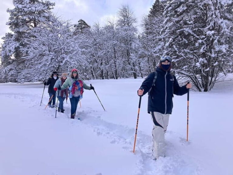 Snowshoeing in Bakuriani, Caucasus Mountains - Guides, Equipment, and Safety