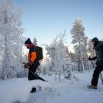 Snowshoeing in Snowy Forest with Local Guide - The Sum Up