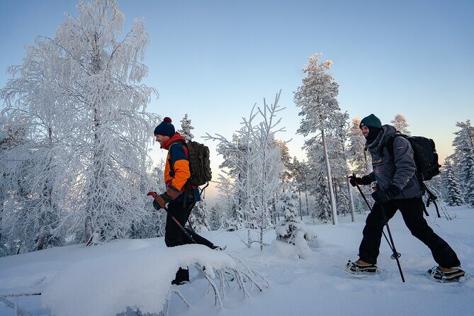 Snowshoeing in Snowy Forest with Local Guide - The Sum Up