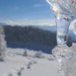 Snowshoeing on Trebevic Mountain from Sarajevo - Who Will Love This Tour?