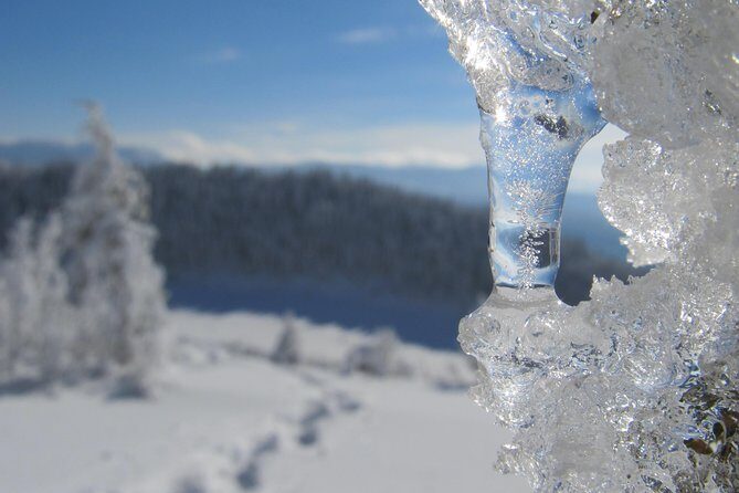 Snowshoeing on Trebevic Mountain from Sarajevo - Who Will Love This Tour?