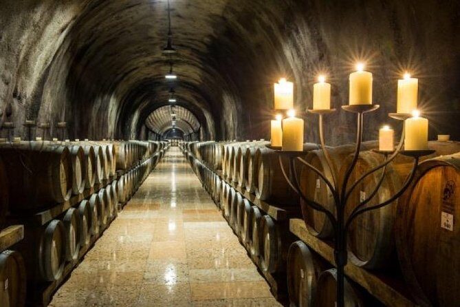 Soave: history and excellence in wines, in Verona hillside - Who Should Consider This Tour