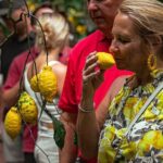 Sorrento Ape Tour, Lemon Garden, Mozzarella Show & Pizza Class - Why This Tour Offers Great Value