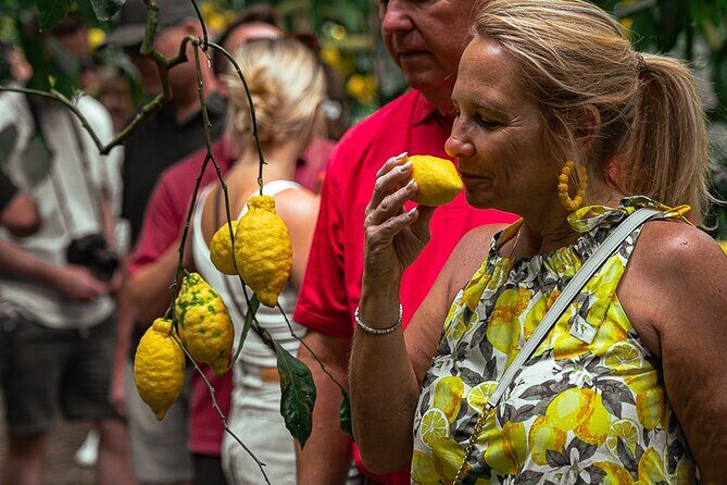 Sorrento Ape Tour, Lemon Garden, Mozzarella Show & Pizza Class - Why This Tour Offers Great Value