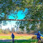 Sorrento e-bike adventure: olive oil and lemon tasting - Practical Considerations