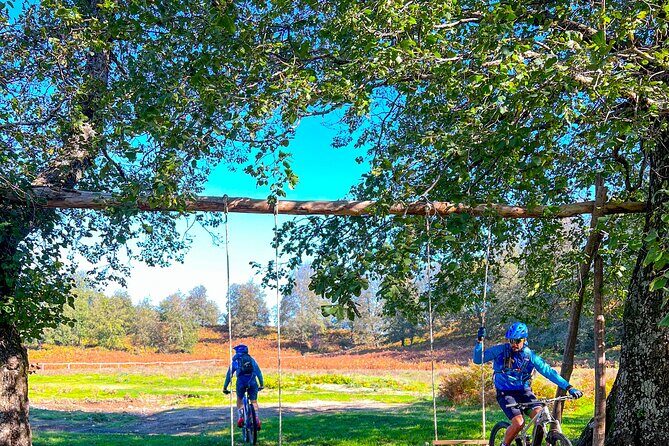 Sorrento e-bike adventure: olive oil and lemon tasting - Practical Considerations