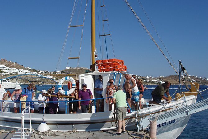 South Coast Cruise - The Beach Stops: What Youll Love and What to Watch For