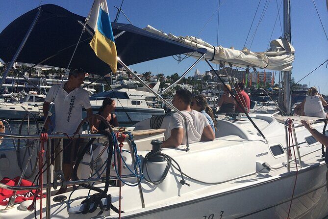 South Coast Tenerife Cruise - What Travelers Say: Authentic Perspectives