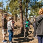 South Gran Canaria: Off-Road Valleys & Villages Jeep Tour - FAQ