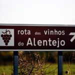South Portugal Wine Route Private Full Day Tour from Lisbon - Who Will Love This Tour?