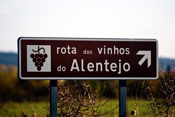 South Portugal Wine Route Private Full Day Tour from Lisbon - Transportation and Timing