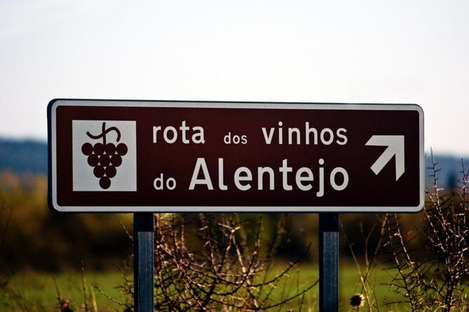 South Portugal Wine Route Private Full Day Tour from Lisbon - Who Will Love This Tour?
