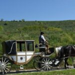 Sparkling carriage ride through Krems and the Wachau vineyards - Who Would Love This Tour?