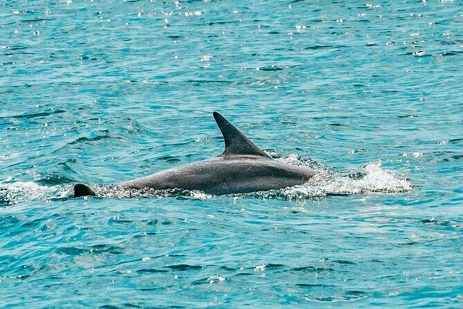 Split: Blue Lagoon & 3 Island Cruise with Wine & Snorkeling - The Itinerary in Detail